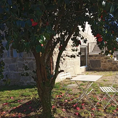 Loft Con Banera, Donde La Ciudad Es Naturaleza شقة بوينتيارياس